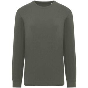 Native Spirit Unisex Adult Spirit Long-Sleeved T-Shirt / Natural Khaki